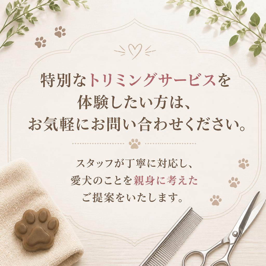 今すぐお問い合わせを！