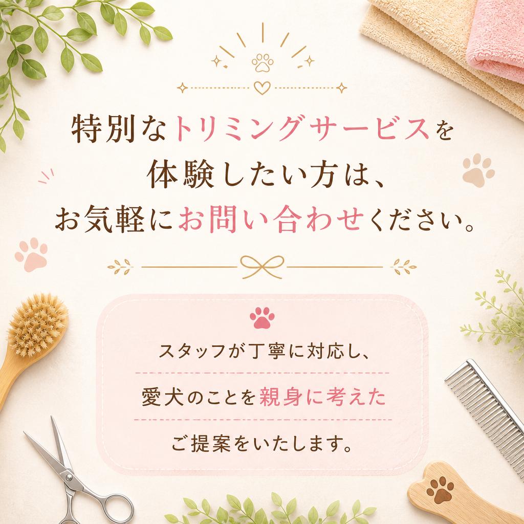 今すぐお問い合わせを！