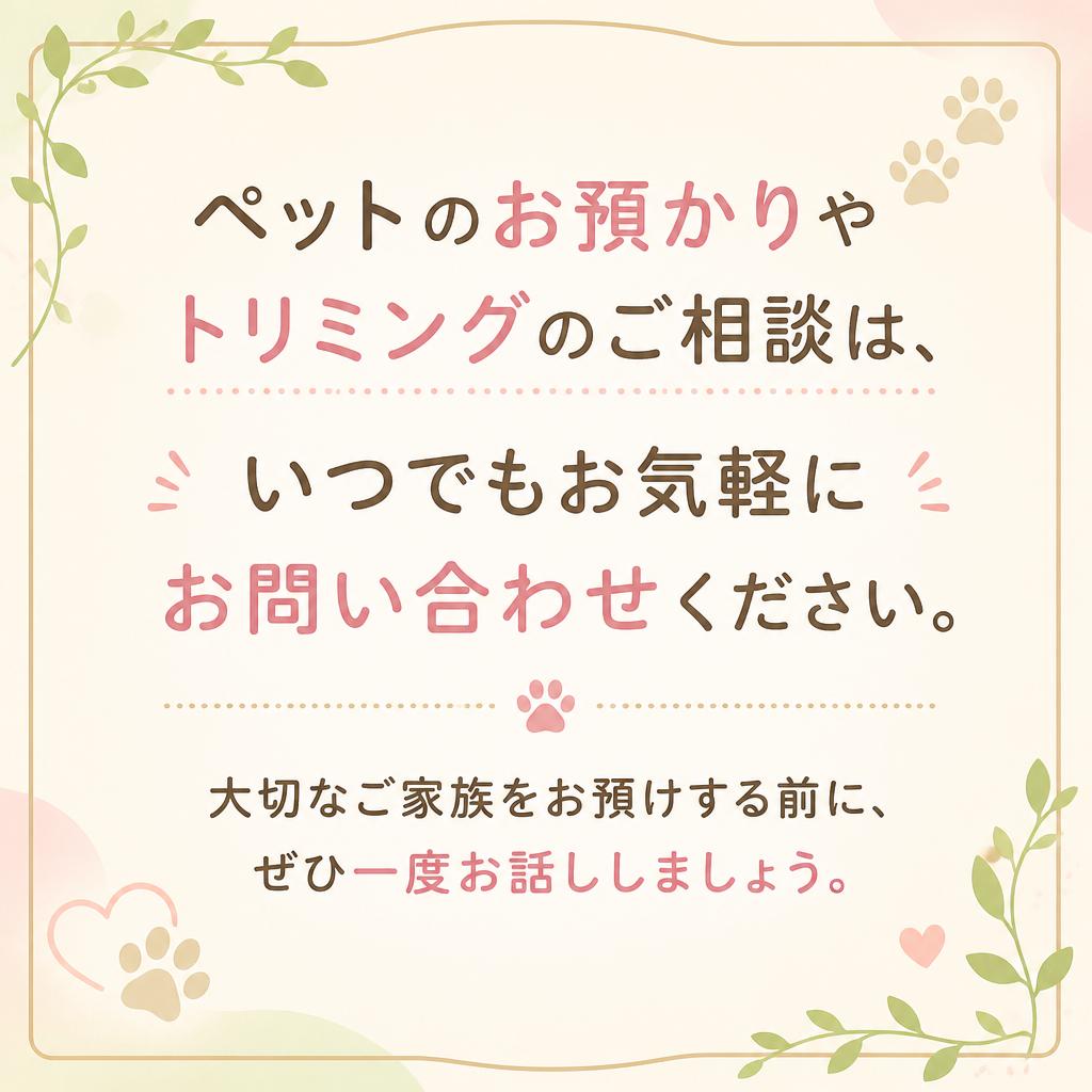 今すぐお問い合わせを！