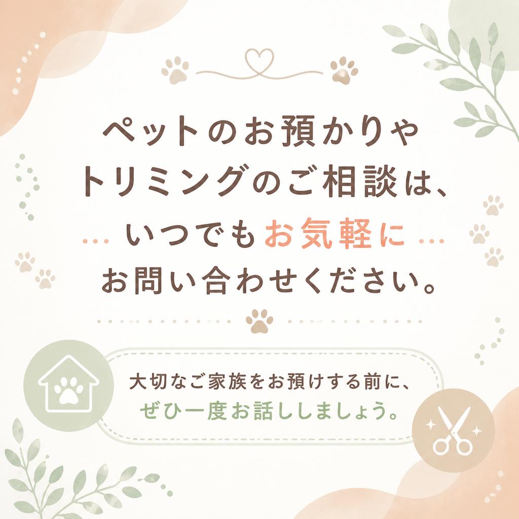 今すぐお問い合わせを！
