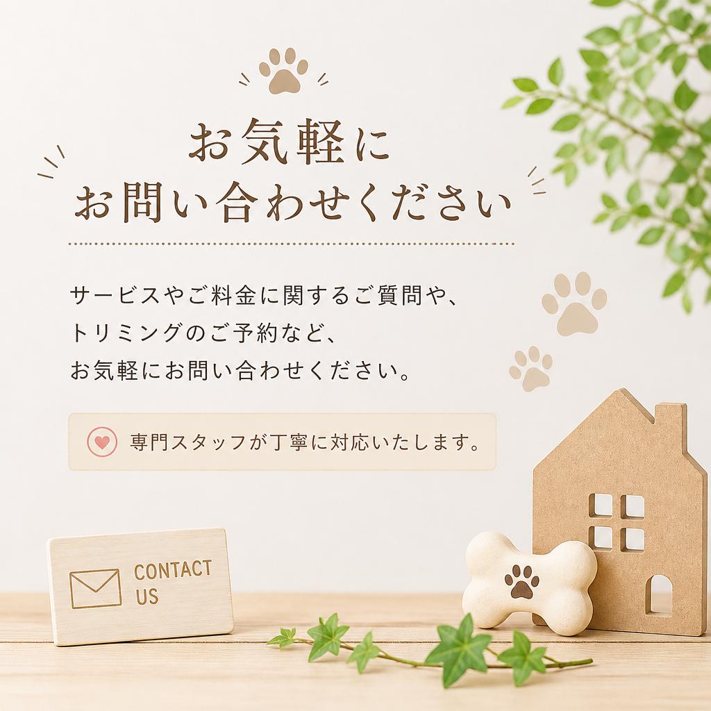 今すぐお問い合わせを！