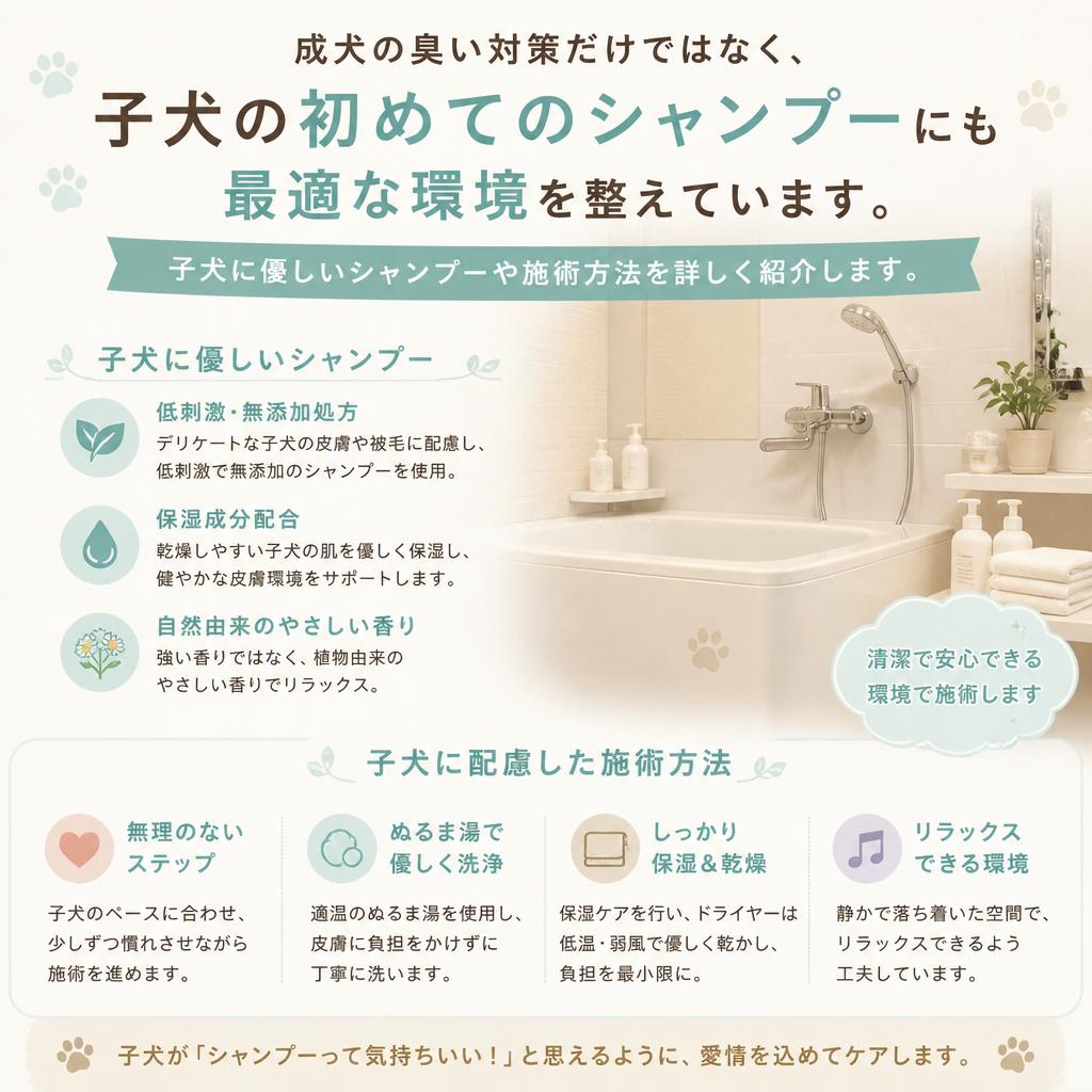 子犬も安心して通えるサロン