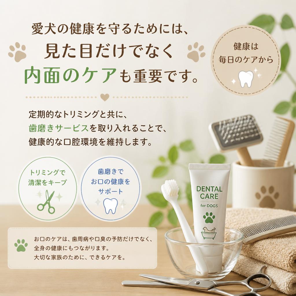 健康管理と歯磨きの重要性