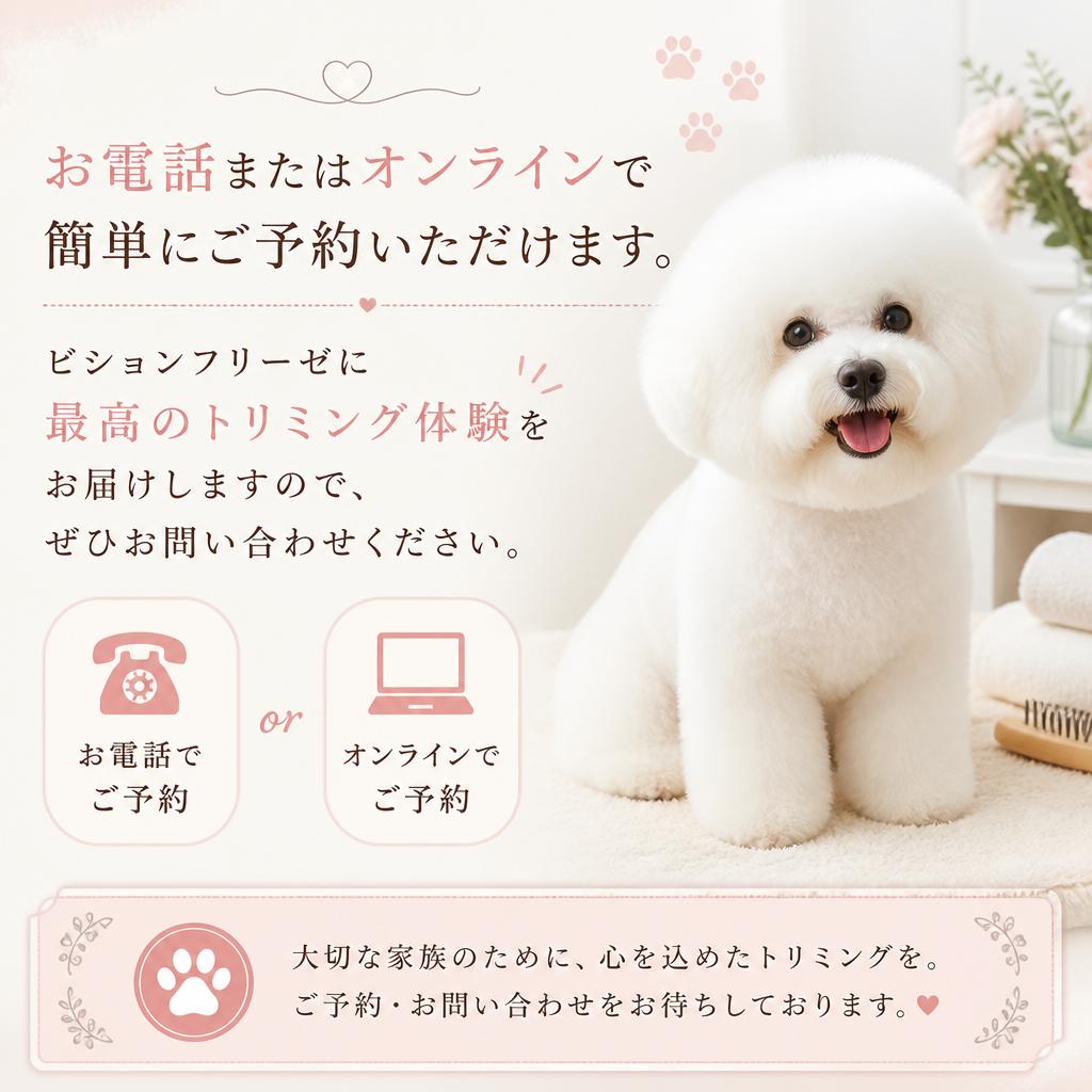 今すぐお問い合わせを！