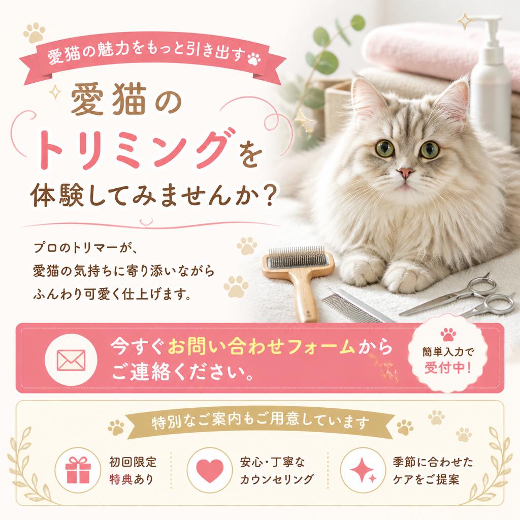 今すぐお問い合わせ