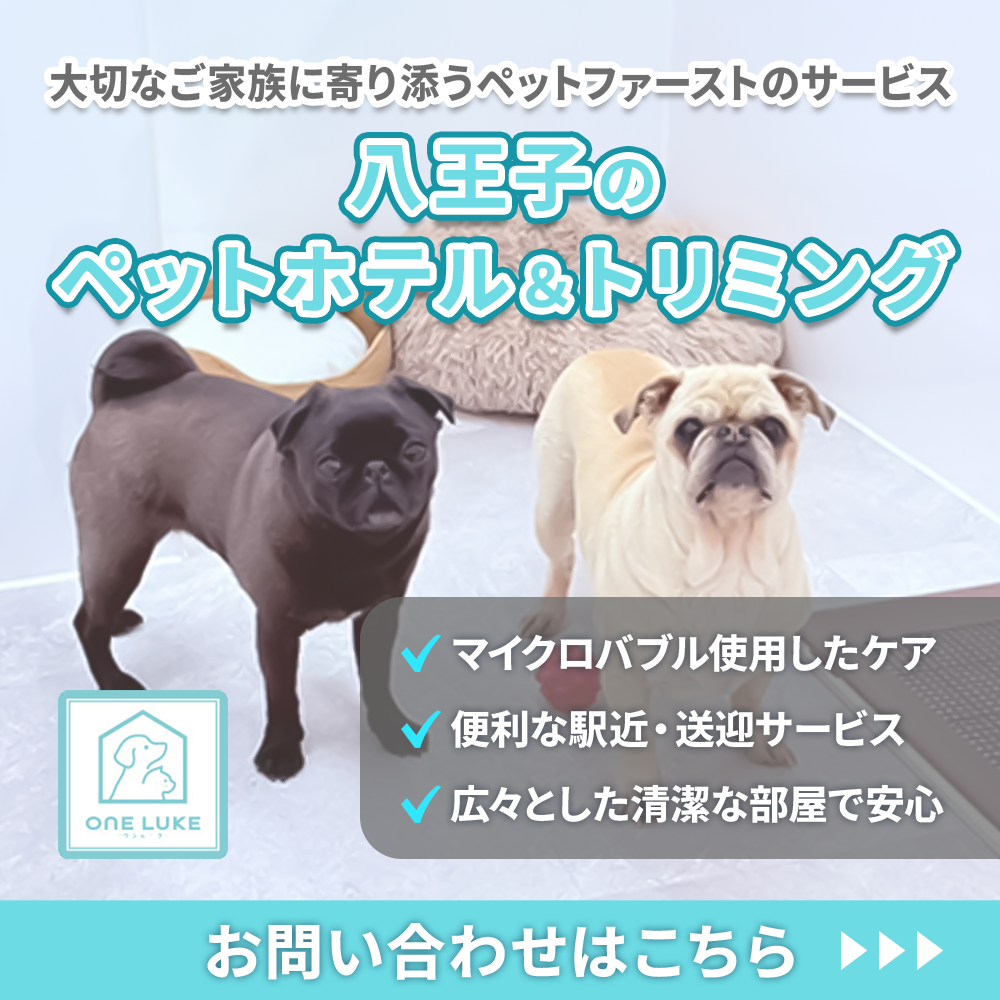 modal_banner.jpg